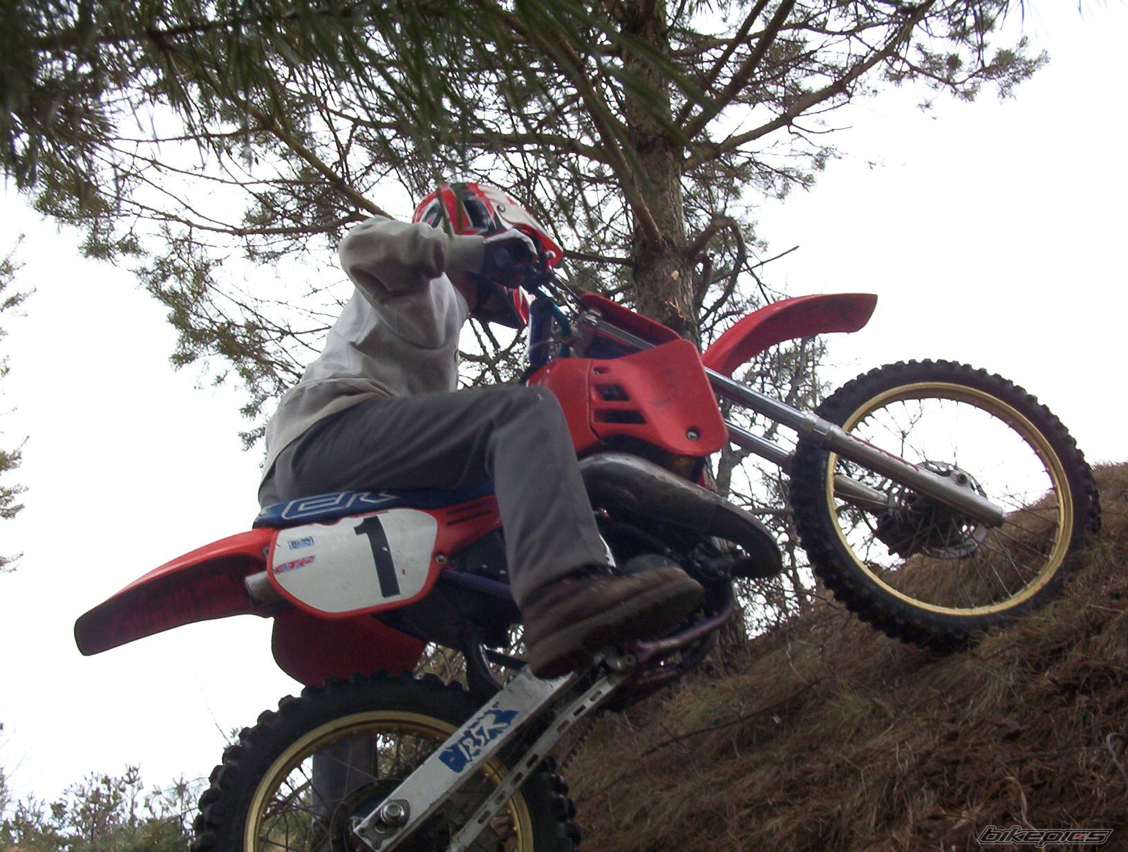 Bike Photo 330424
