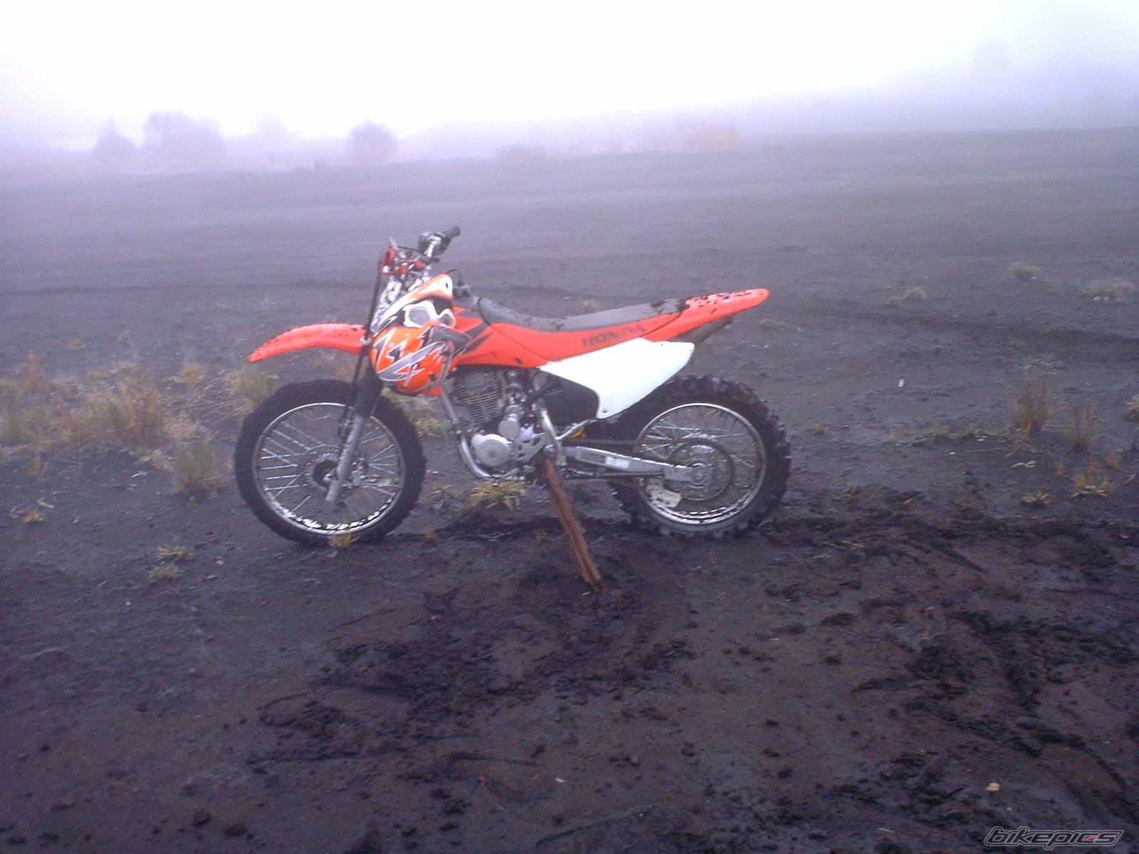 Photo 330429