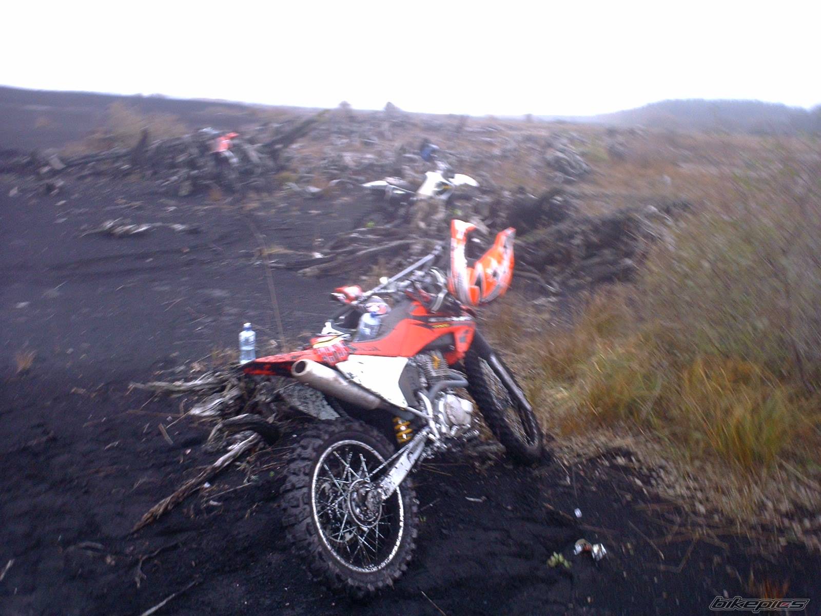 Photo 330435