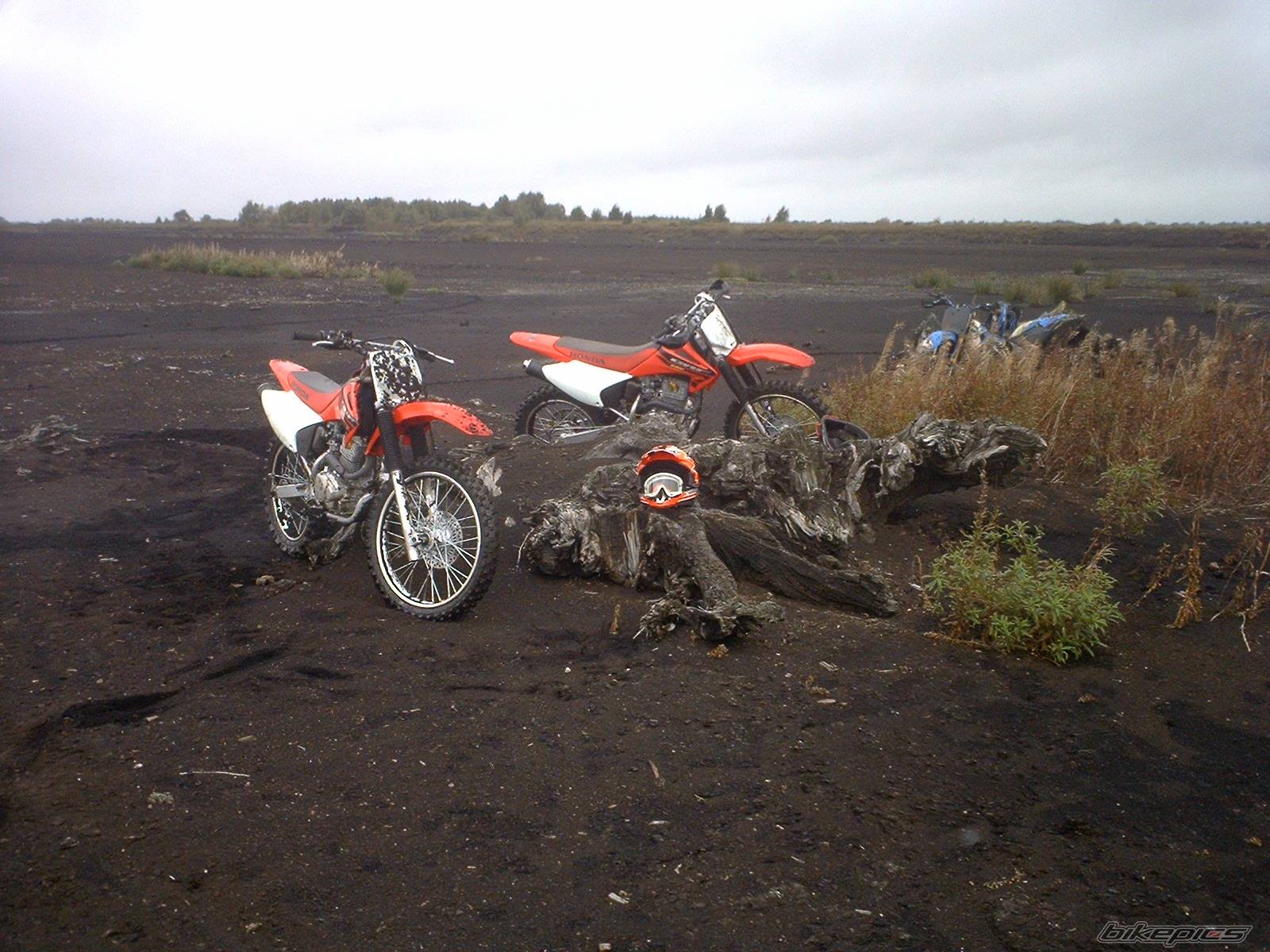 Photo 330438