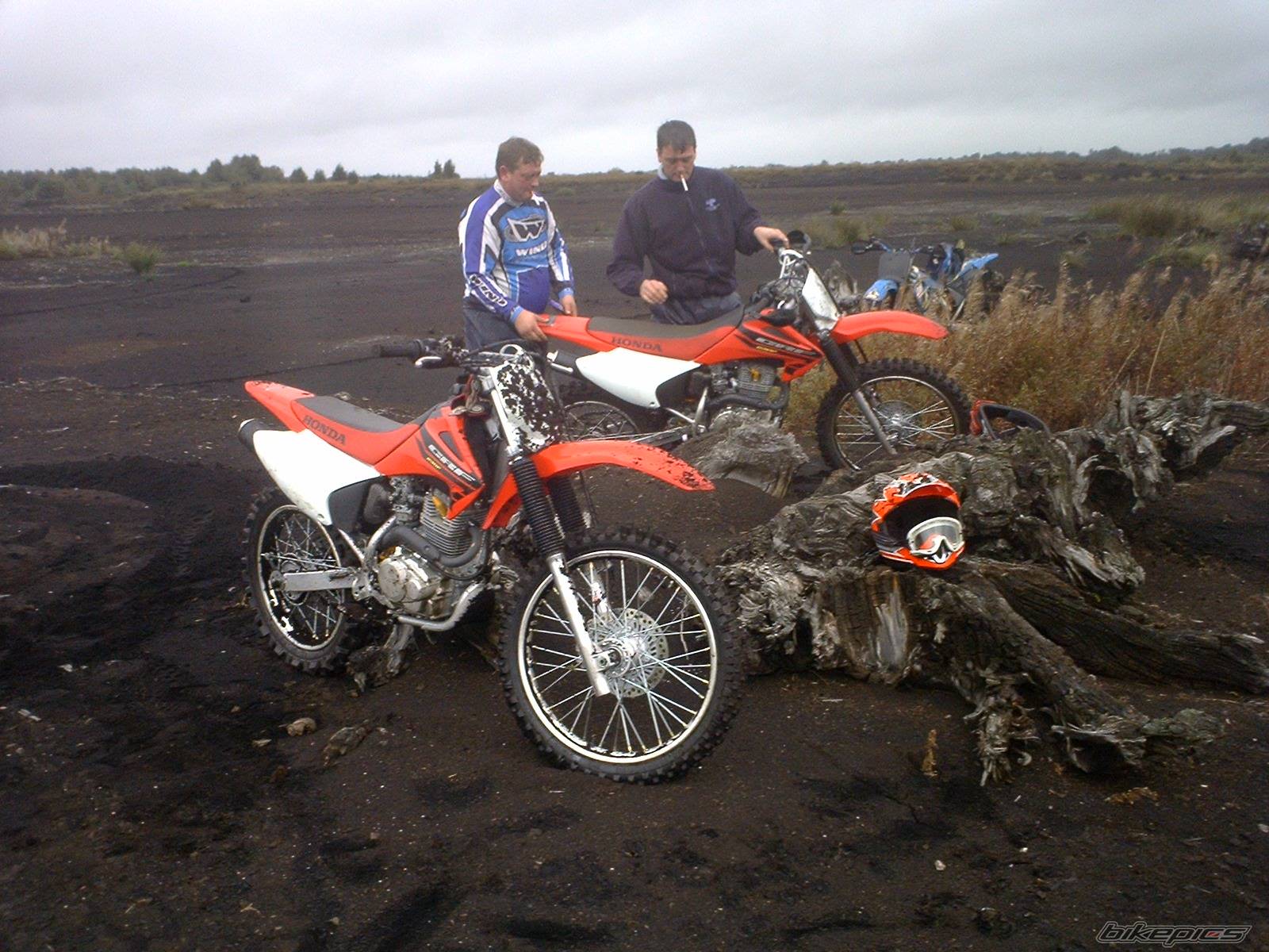 Photo 330442