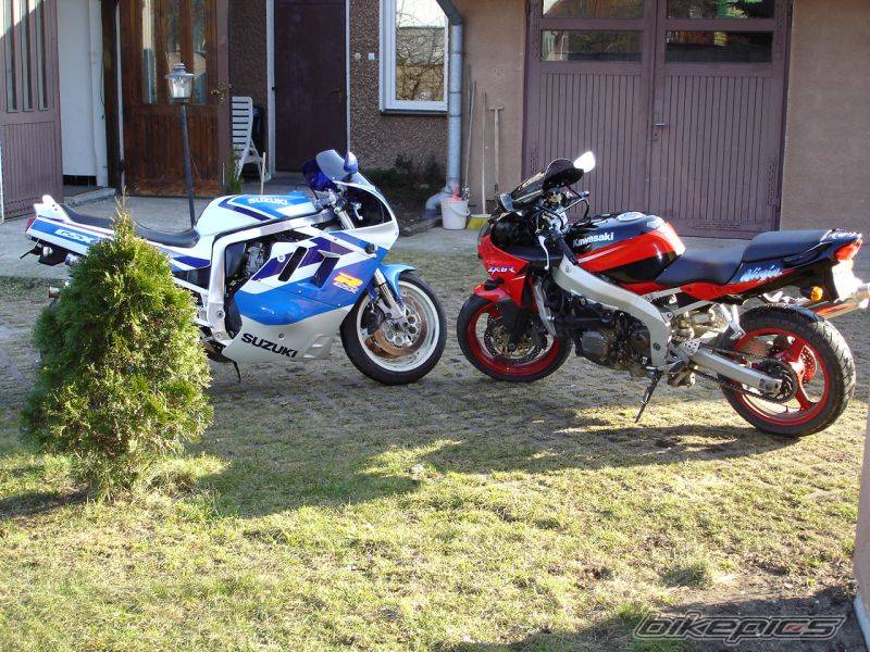 Photo 330463
