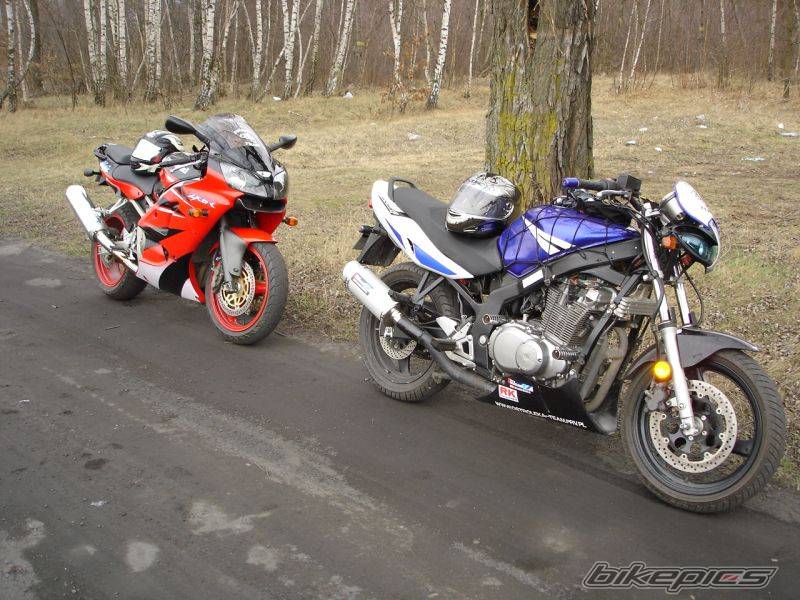 Photo 330472