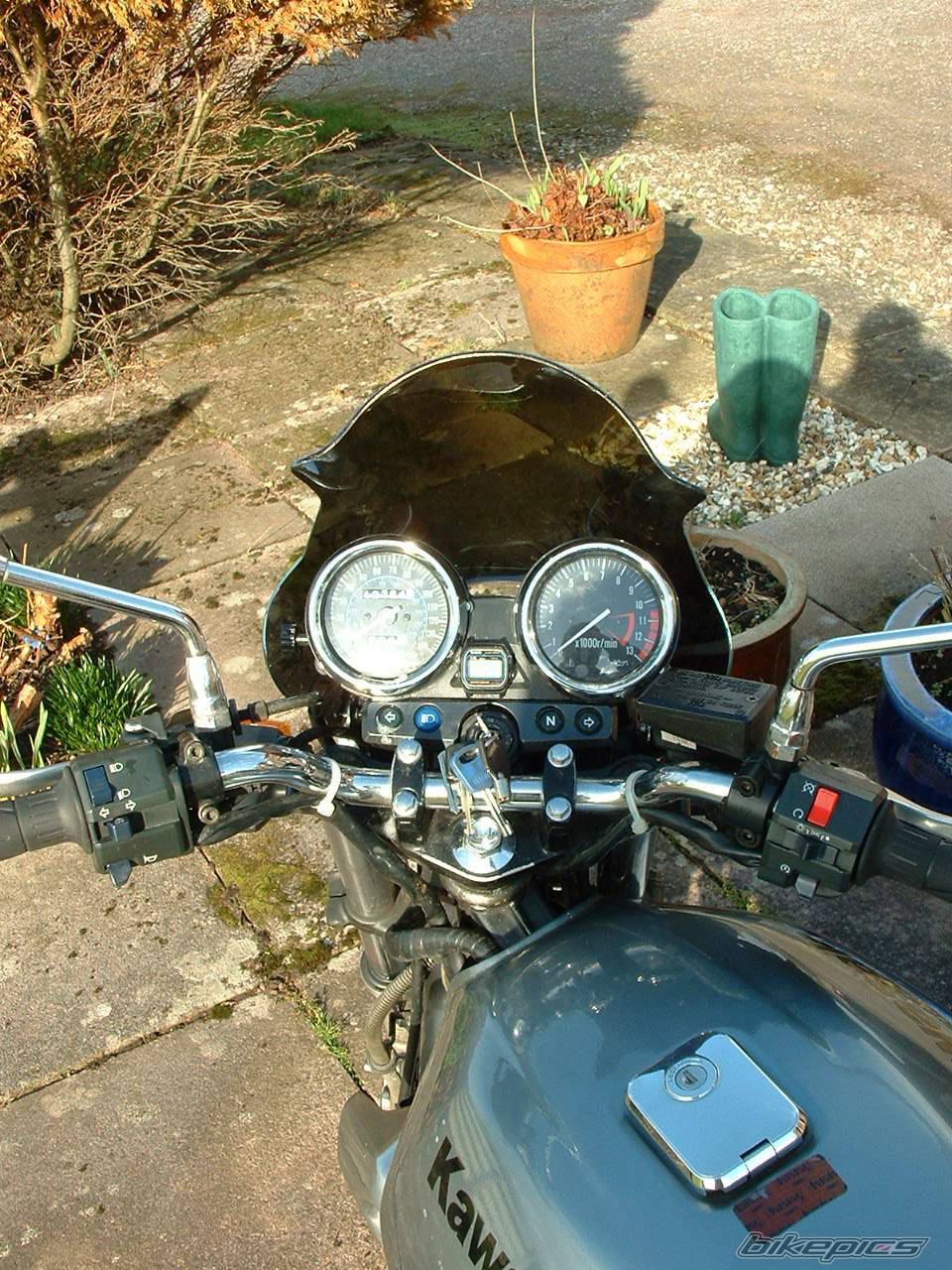 Photo 330475