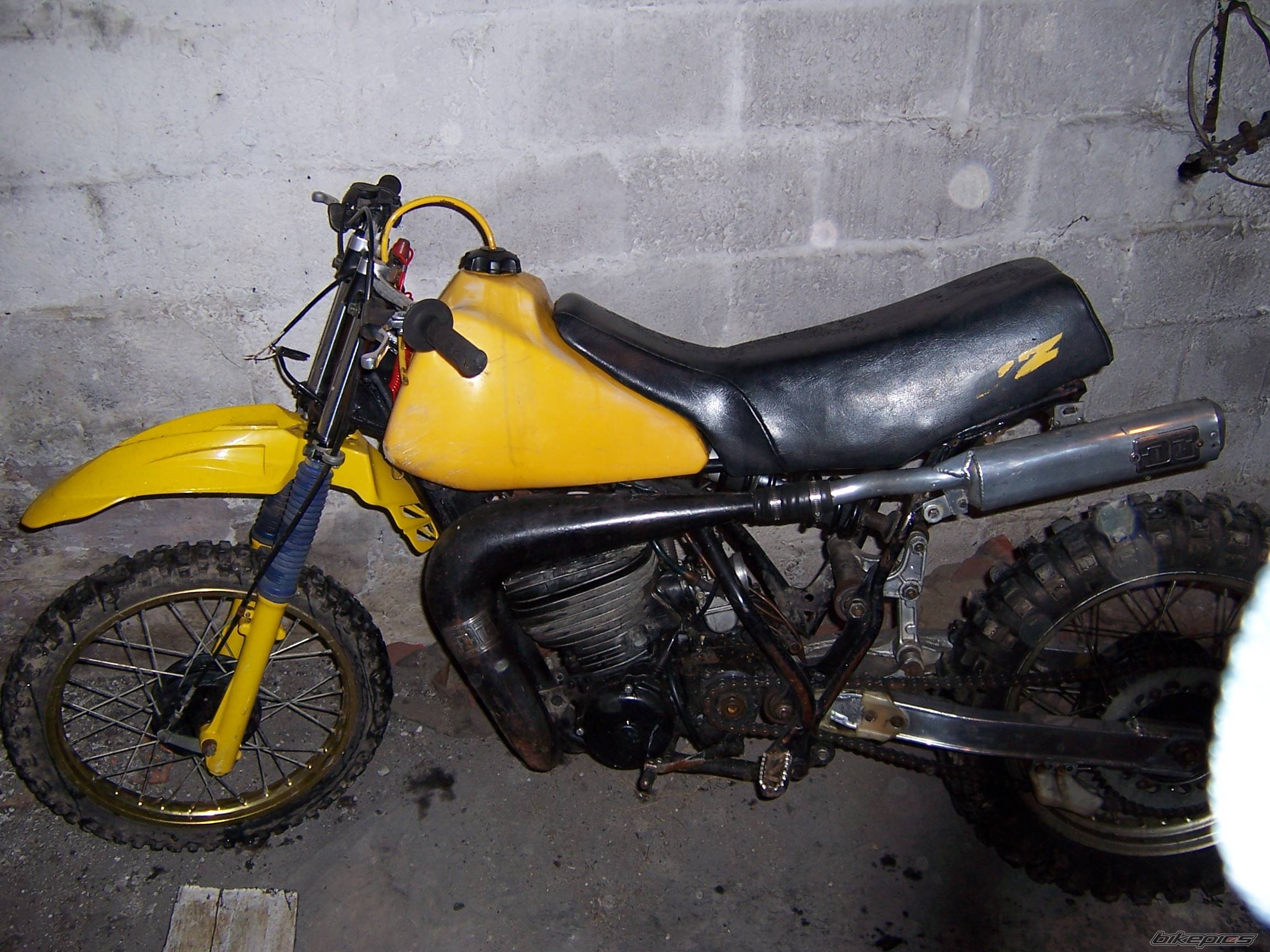 Photo 330569