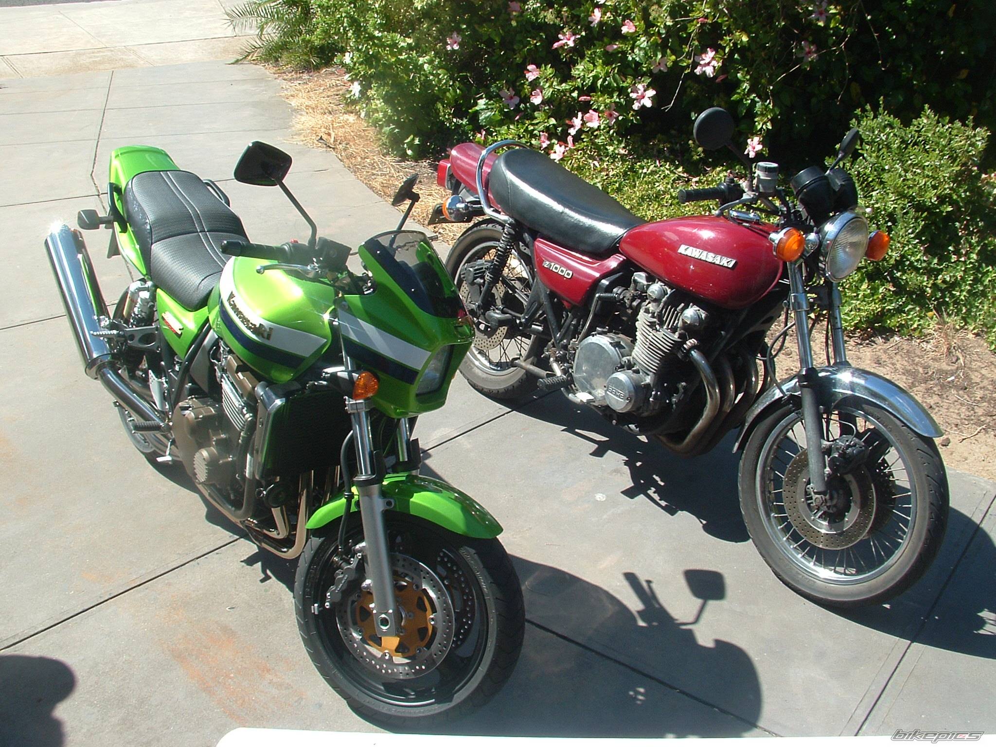 Bike Photo 330583