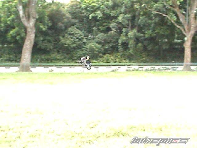 Photo 33063