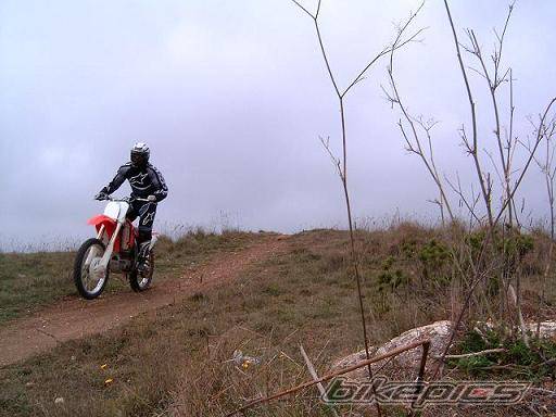 Photo 330726