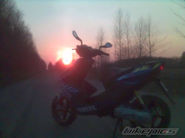 Photo 330738