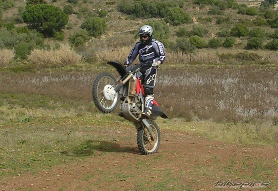 Photo 330739