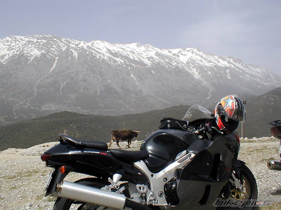 Bike Photo 331118
