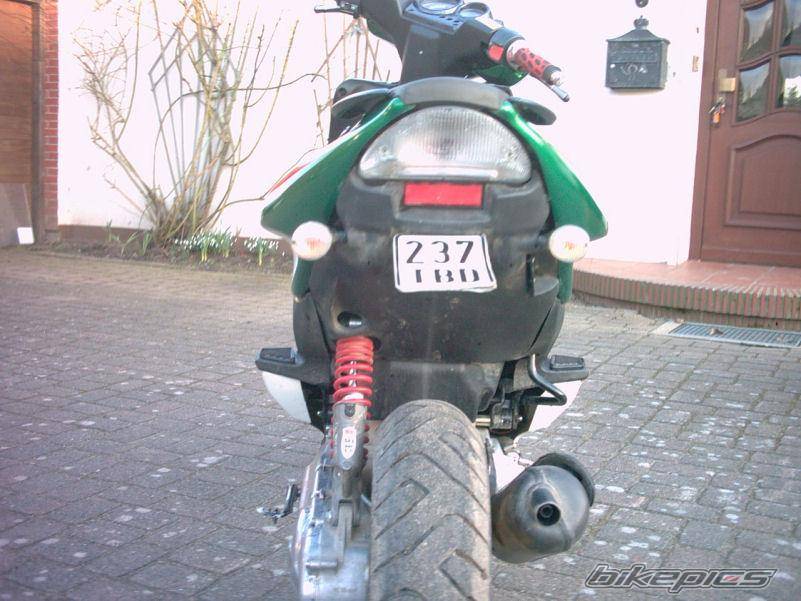 Photo 331273