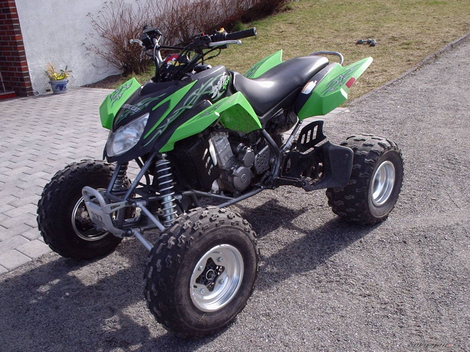 Photo 331276