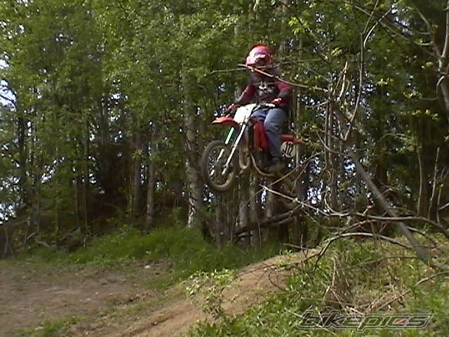 Photo 331429