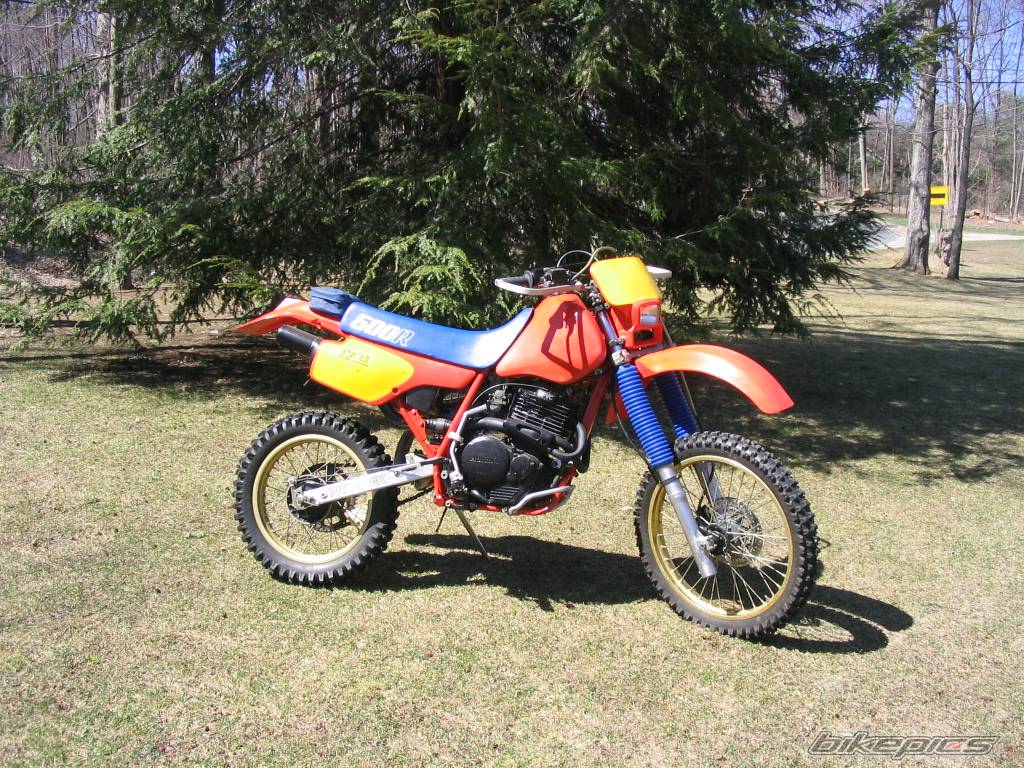 Bike Photo 331509