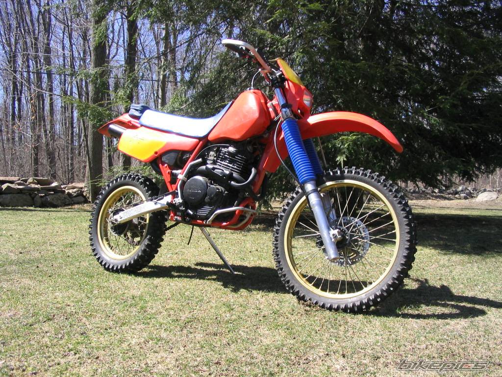 Bike Photo 331512