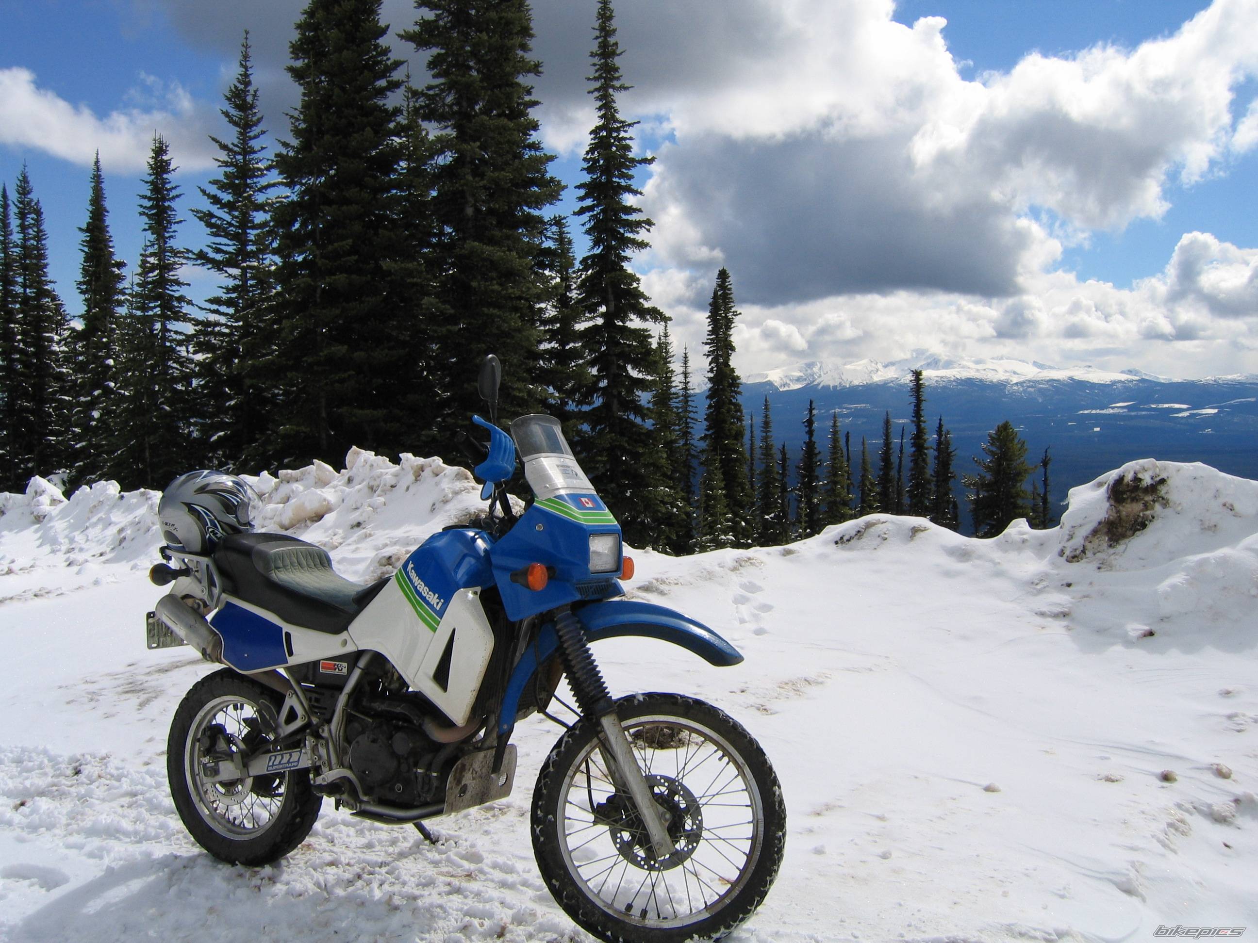 Bike Photo 331564