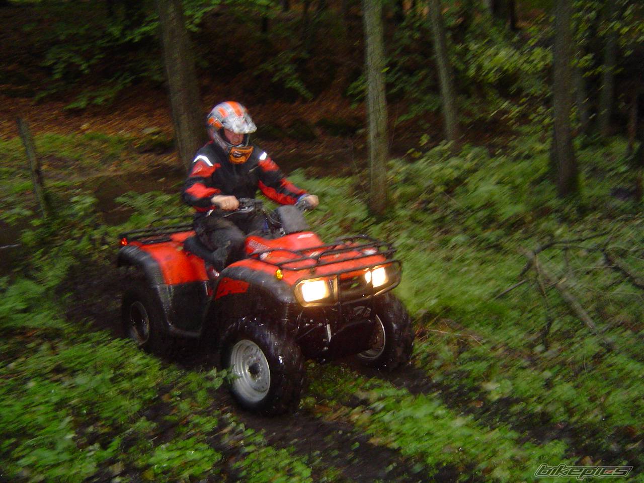 Bike Photo 331728