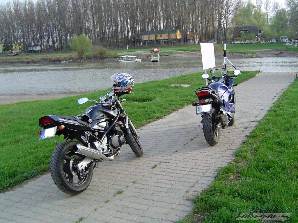 Photo 331854