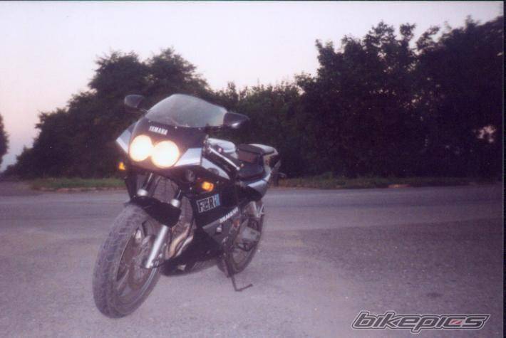 Photo 331857