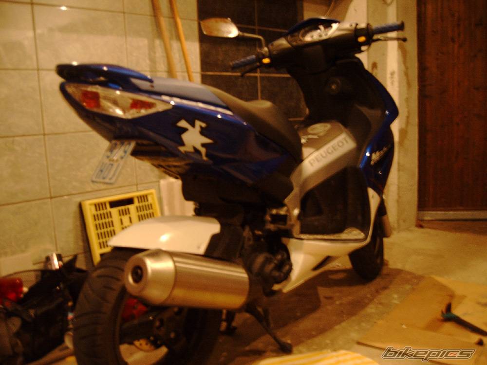 Photo 331977
