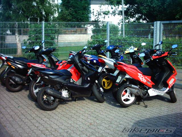 Photo 331982