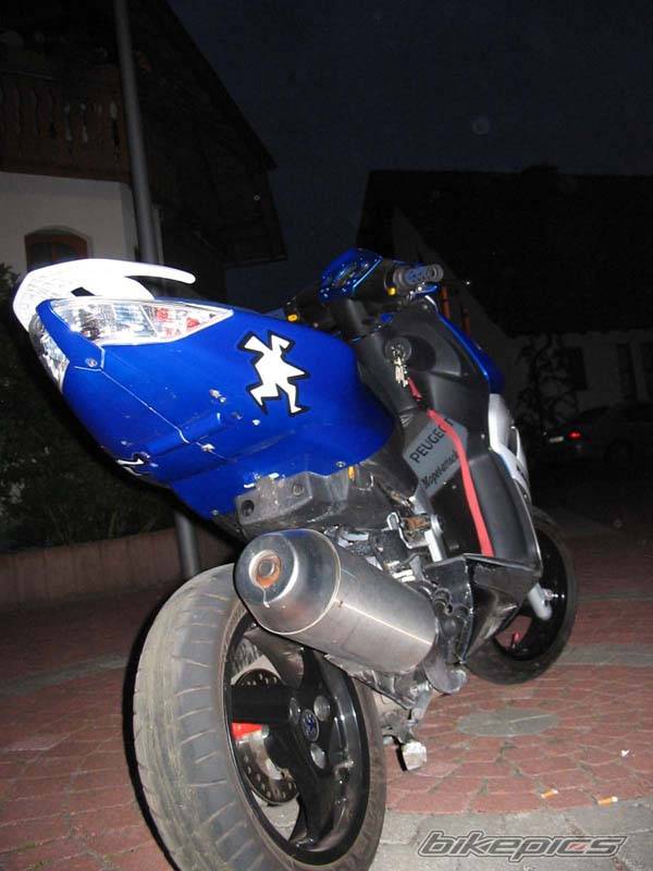 Photo 331990