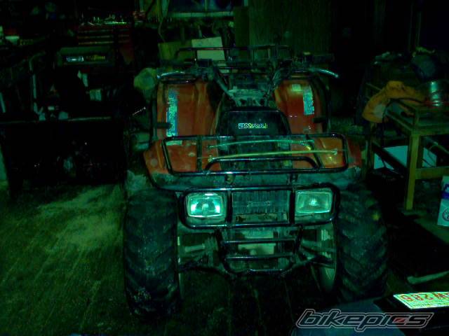 Photo 332125