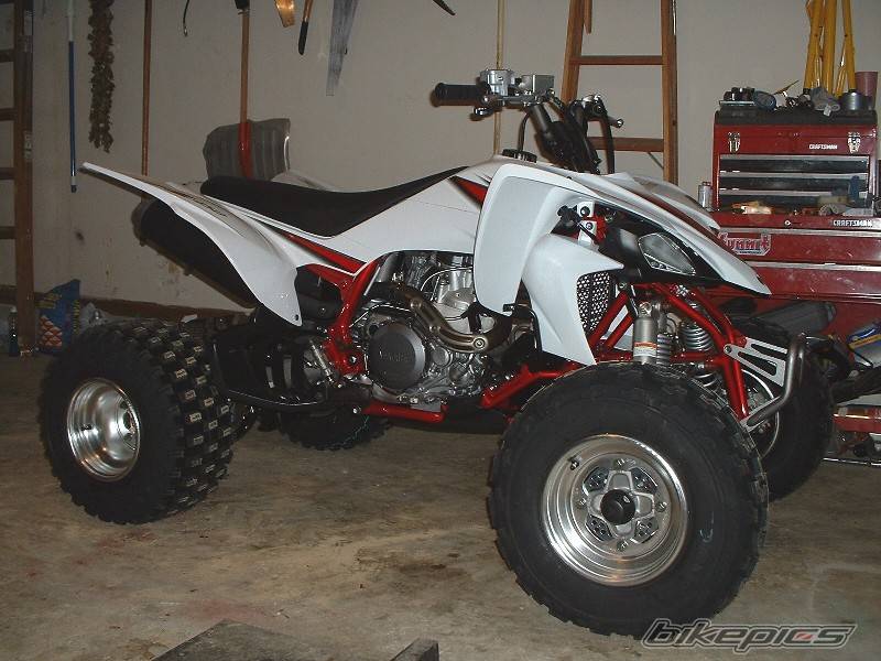 Photo 332342
