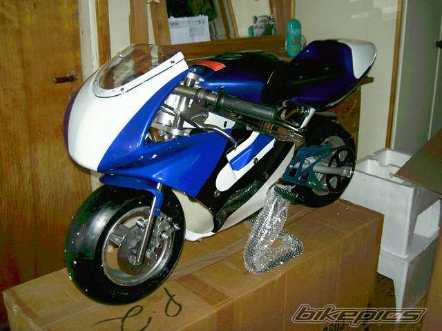 Photo 332431