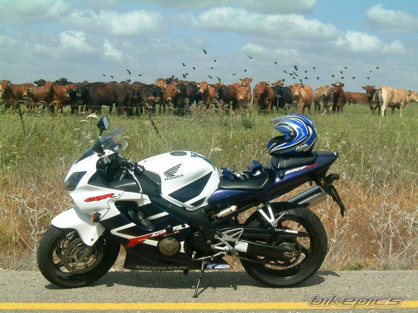 Bike Photo 332470