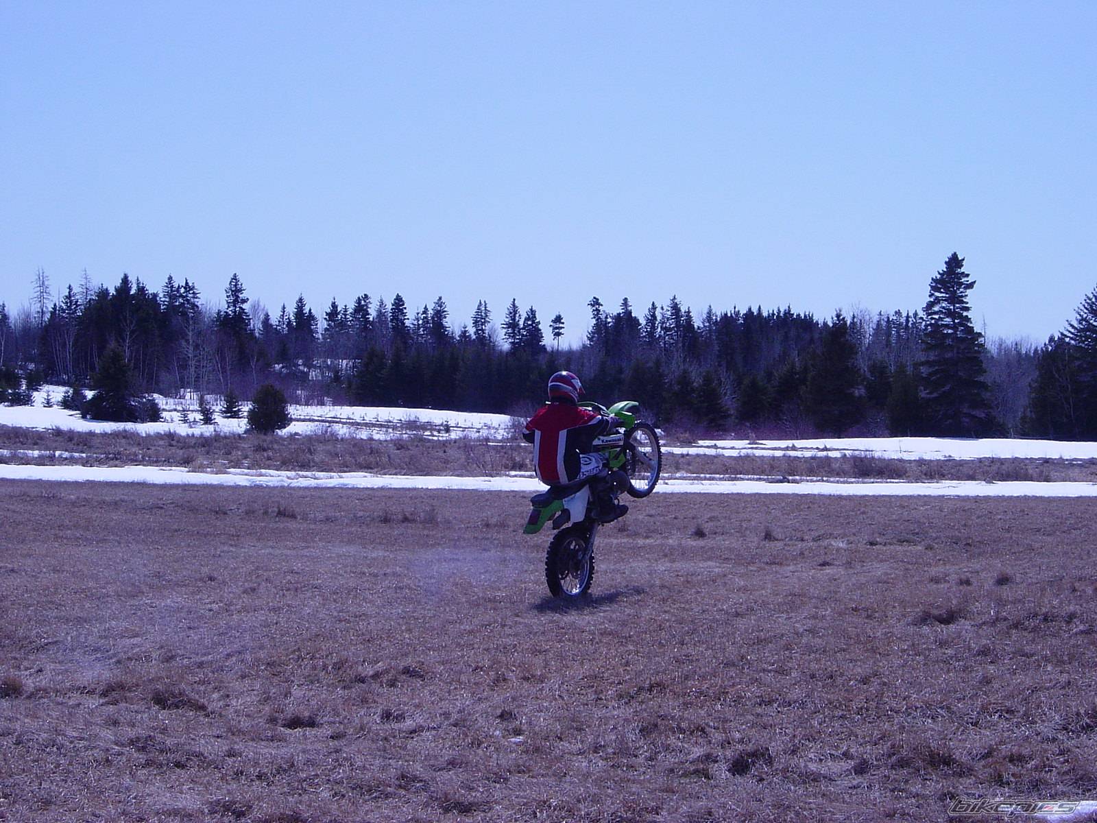 Photo 332479