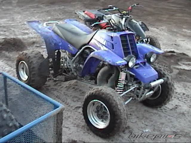 Photo 332696