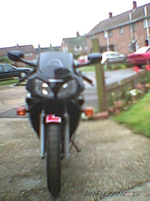 Photo 33280