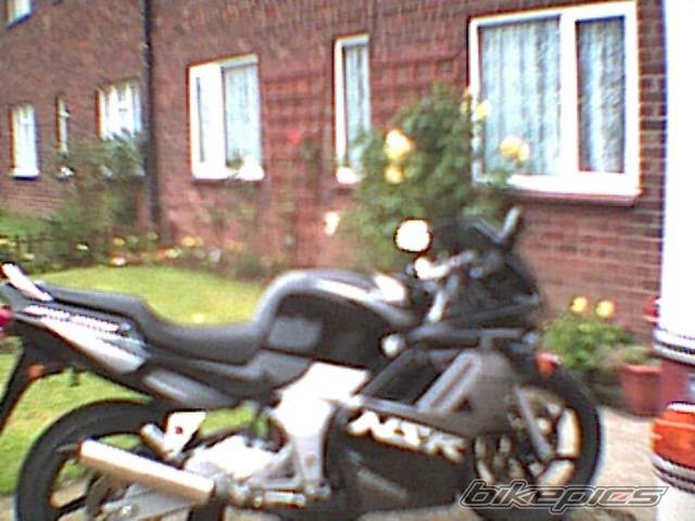 Photo 33281