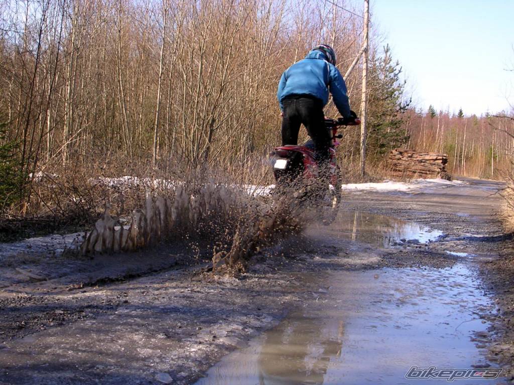 Photo 333037