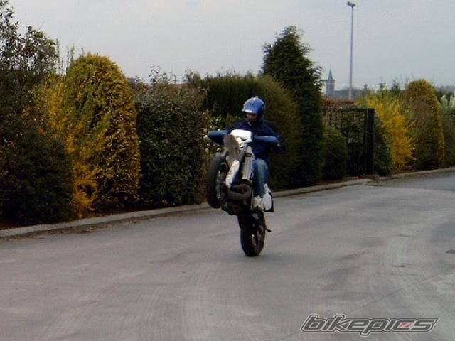 Photo 333068