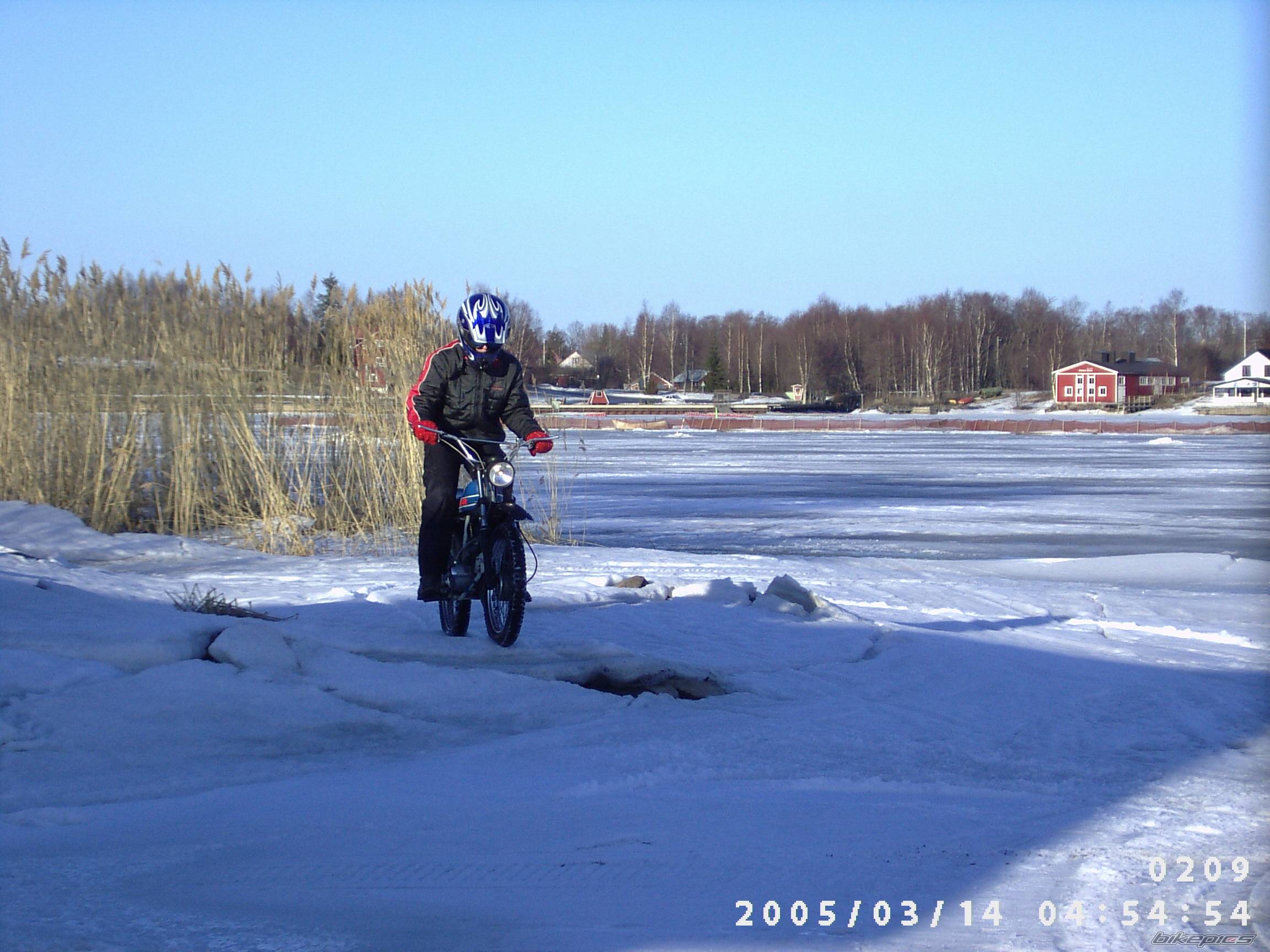Photo 333073