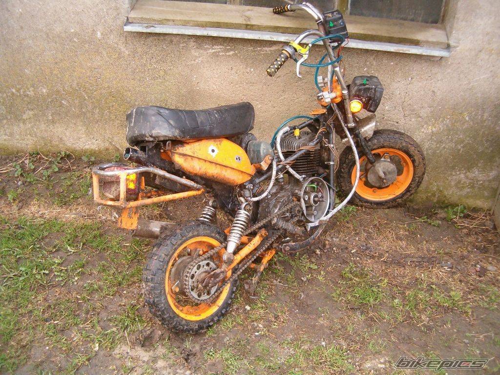 Stella 125