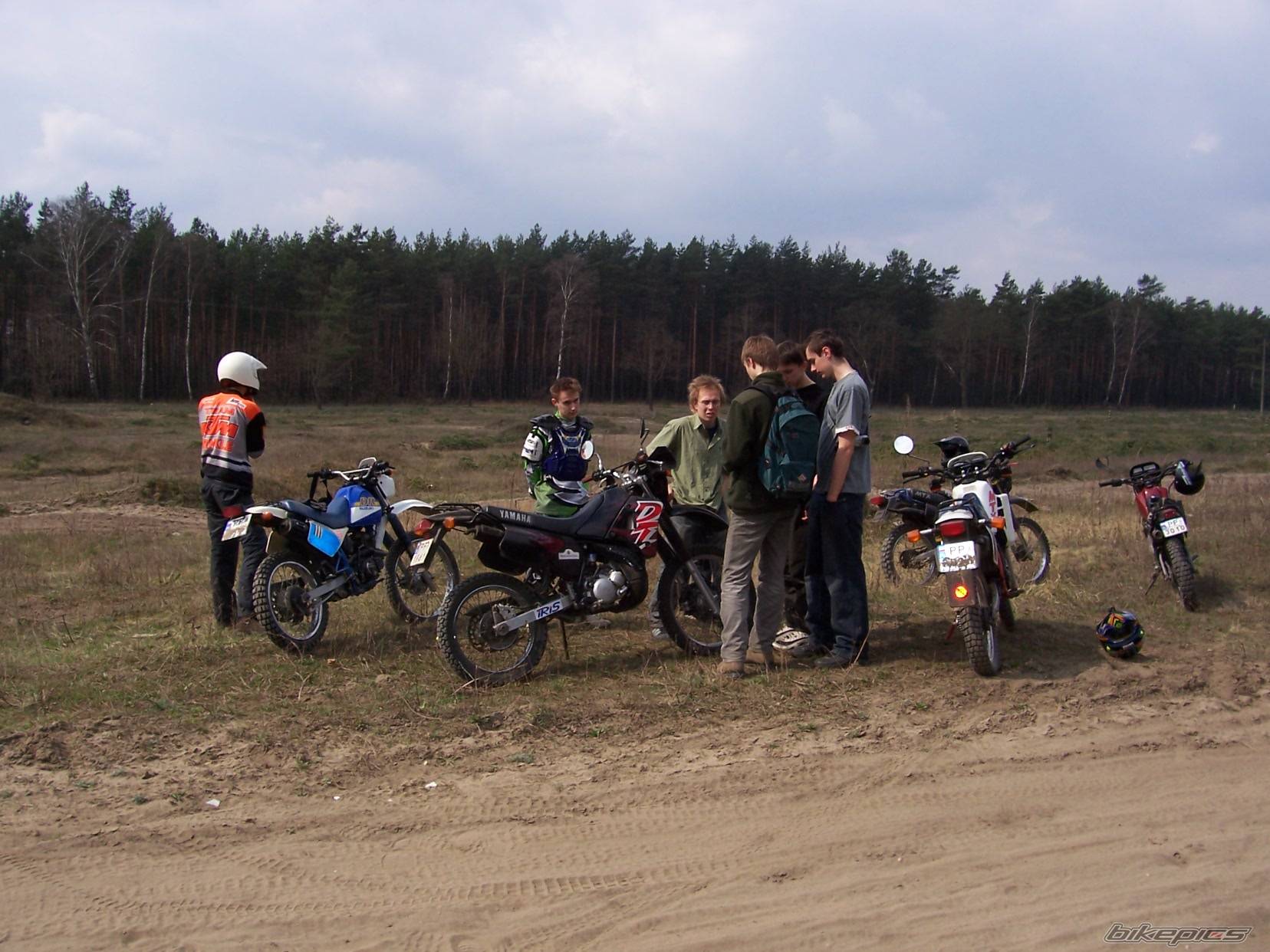 Photo 333197