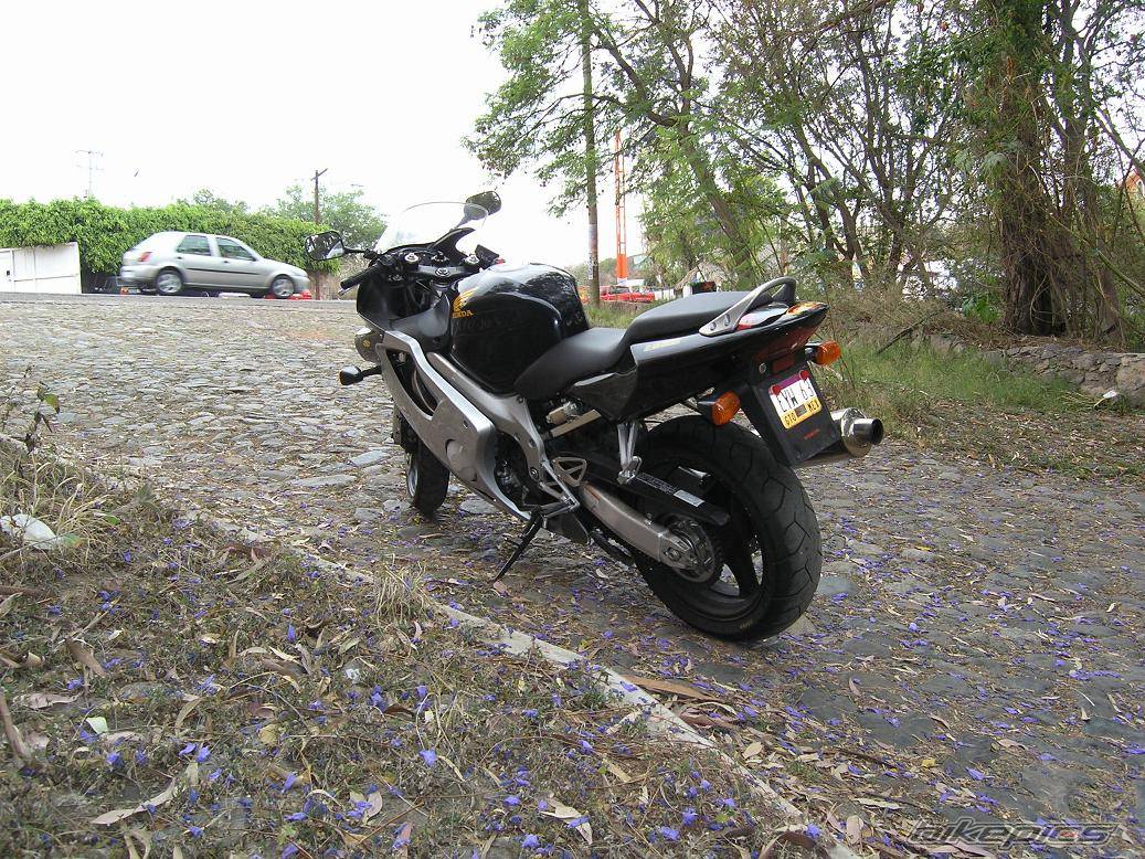 Photo 333216