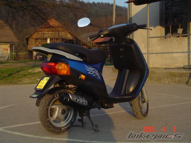 Photo 333231