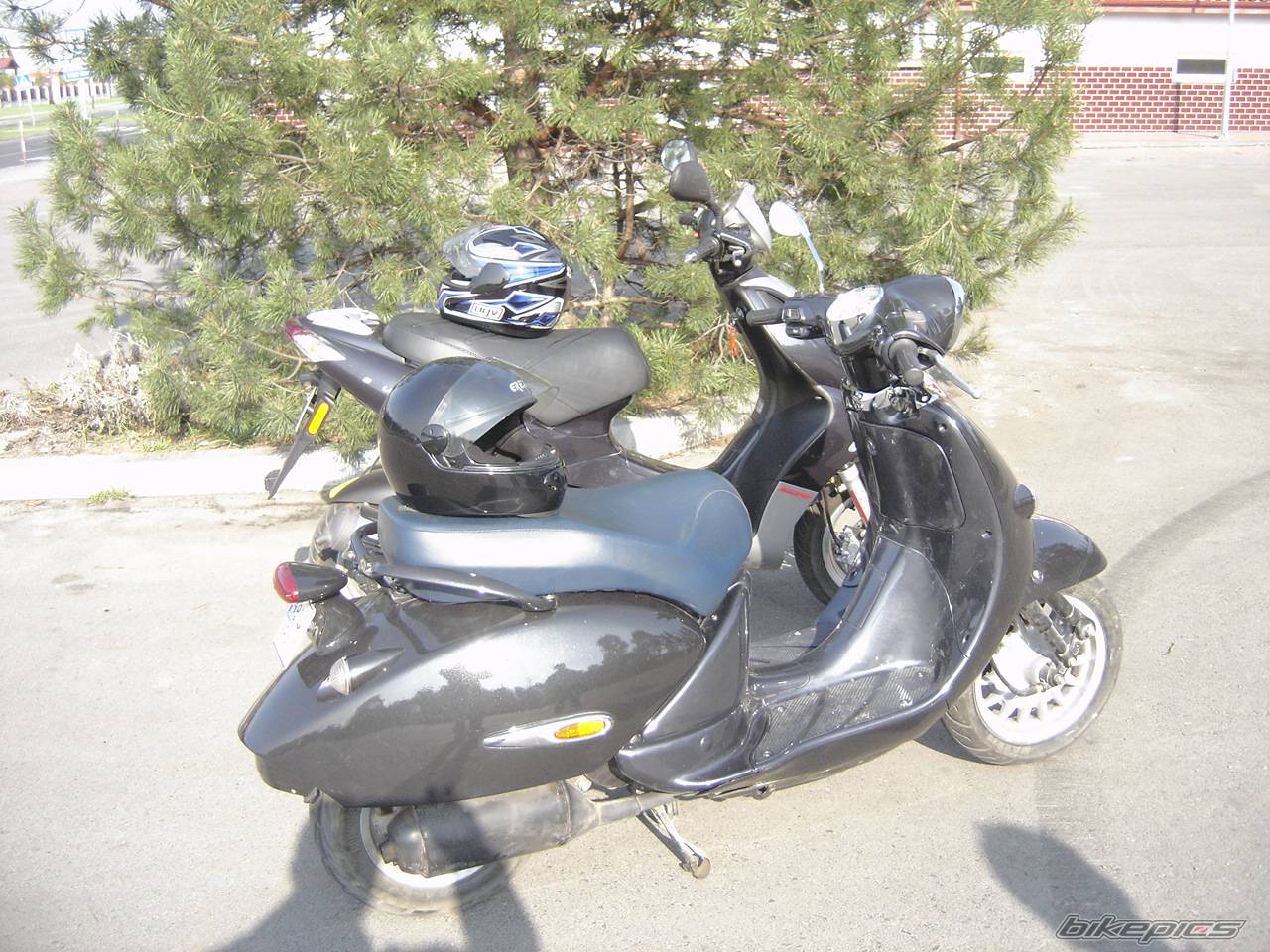 Photo 333236