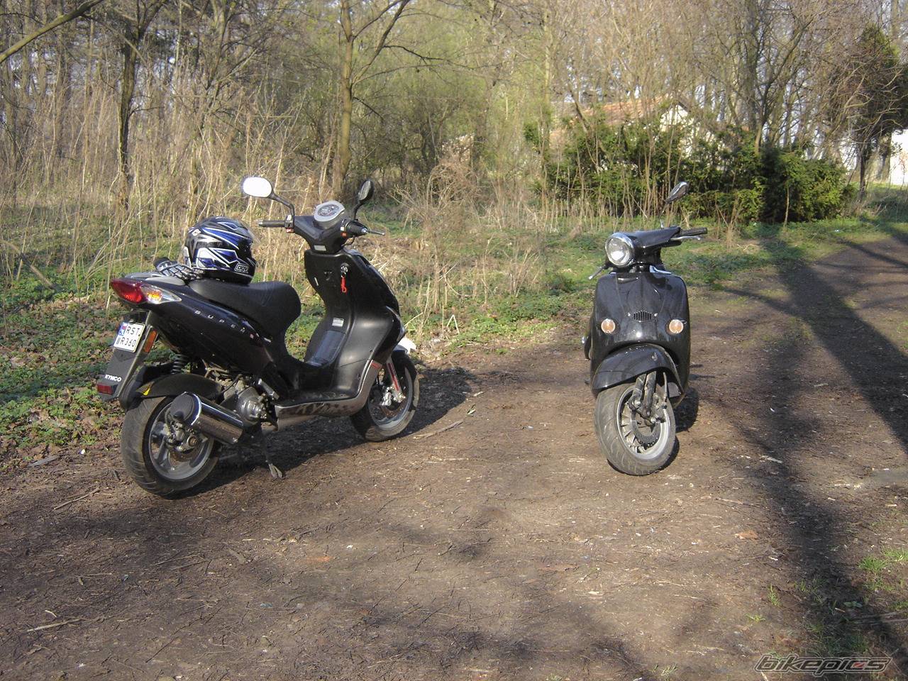 Photo 333253