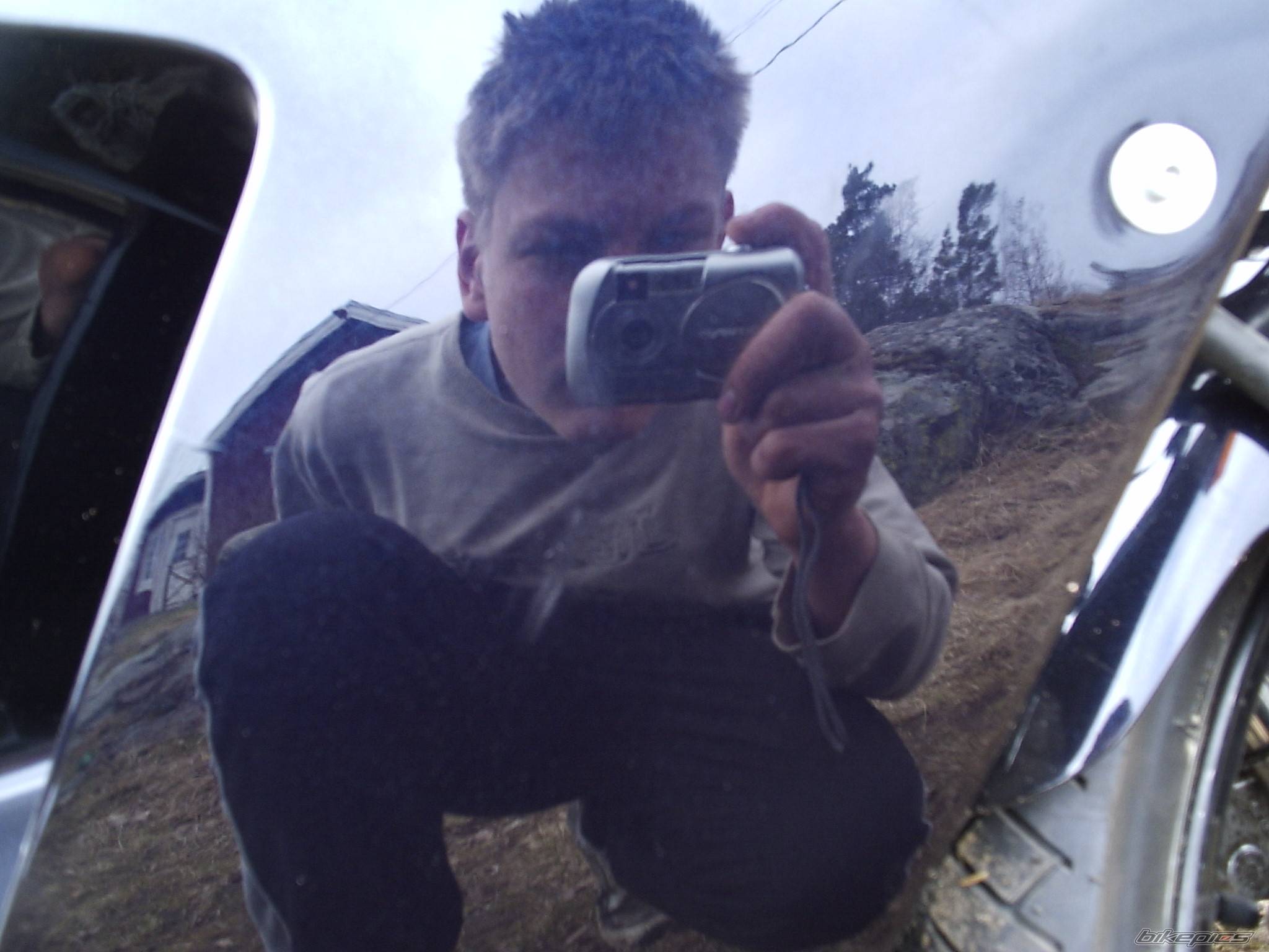 Photo 333274