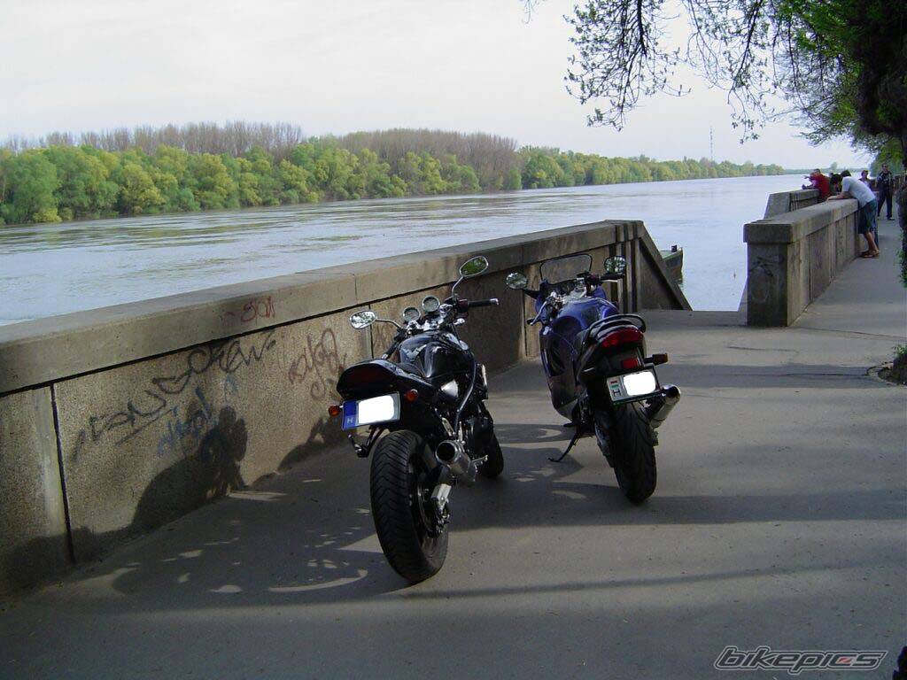Photo 333298