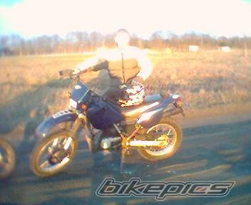 Photo 333352