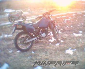 Photo 333355