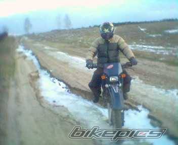 Photo 333369
