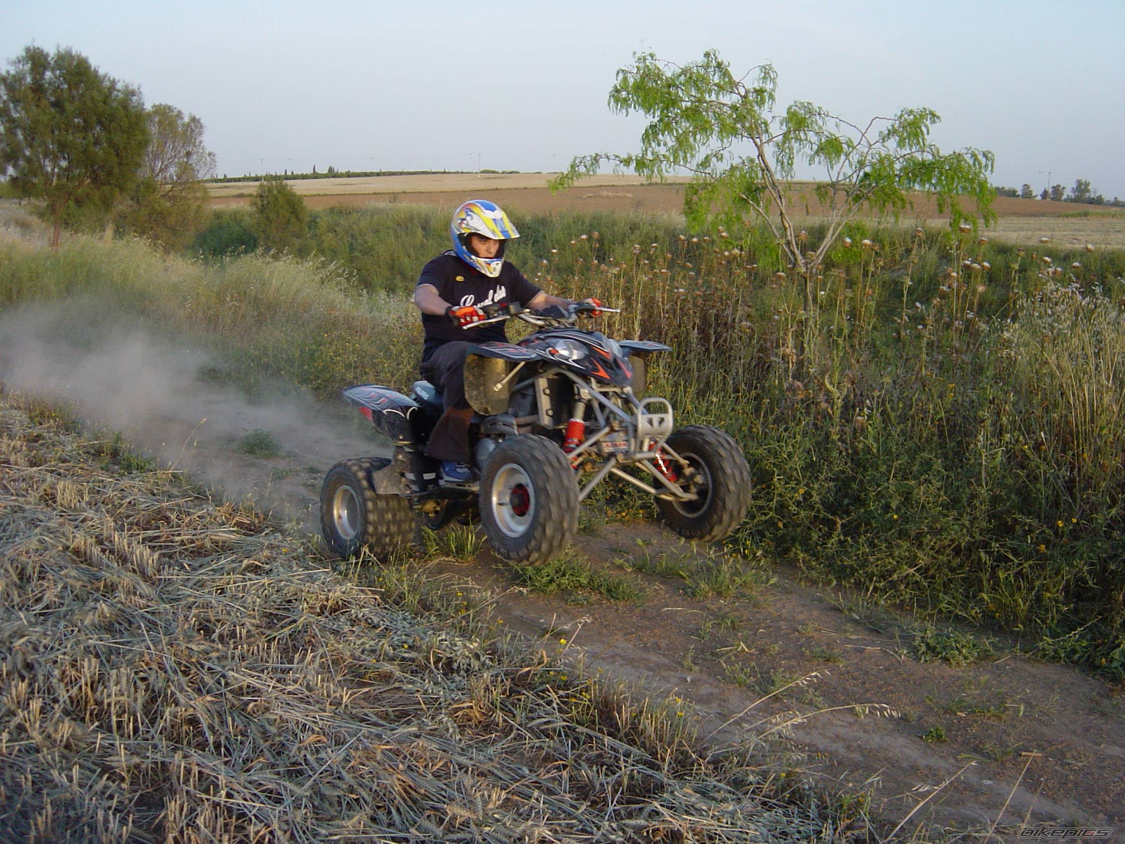 Photo 333378